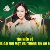 uc8-Luôn kết nối mọi lúc  mọi nơi với link truy cập nhanh!